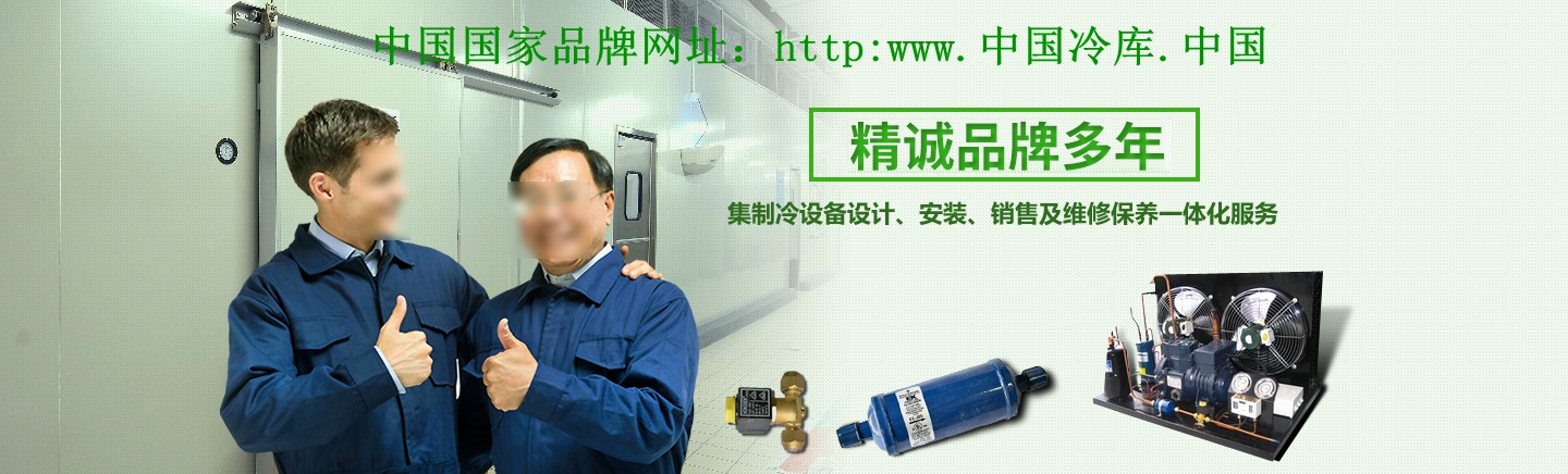 精誠(chéng)品牌 20年集制冷設(shè)備